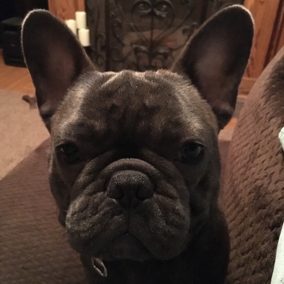 Meet your Posher, Lisa - Picture 3 of 7